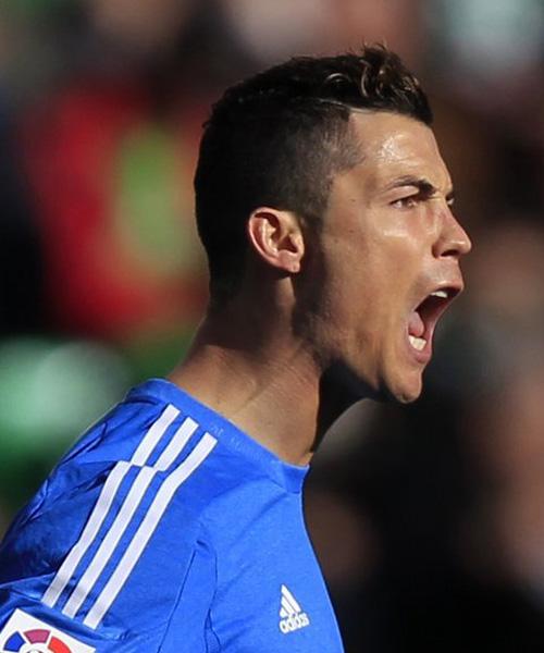 占旭刚任举重摔跤柔道中心主任，王励勤任乒羽中心副主任